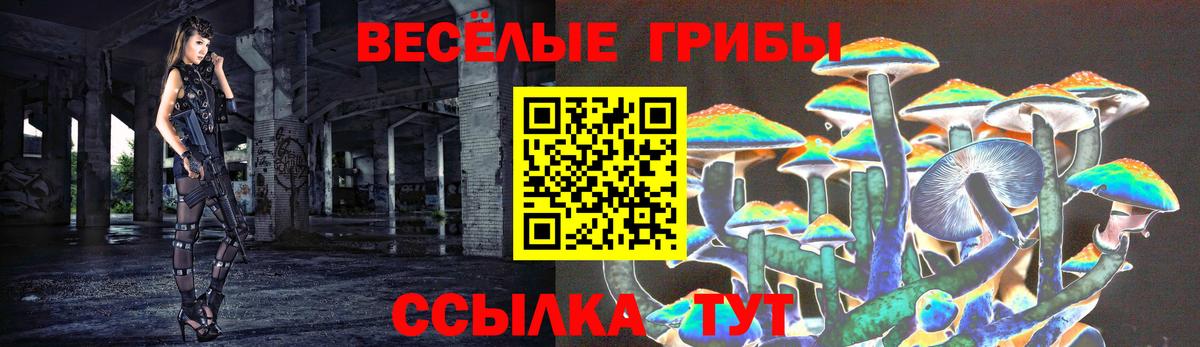 Псилоцибиновые грибы Magic Shrooms  Вход с VPN  наркота  Вятские Поляны 