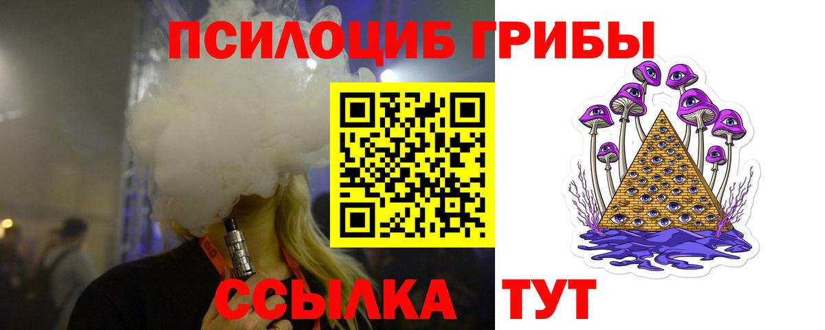 Галлюциногенные грибы прущие грибы Вятские Поляны